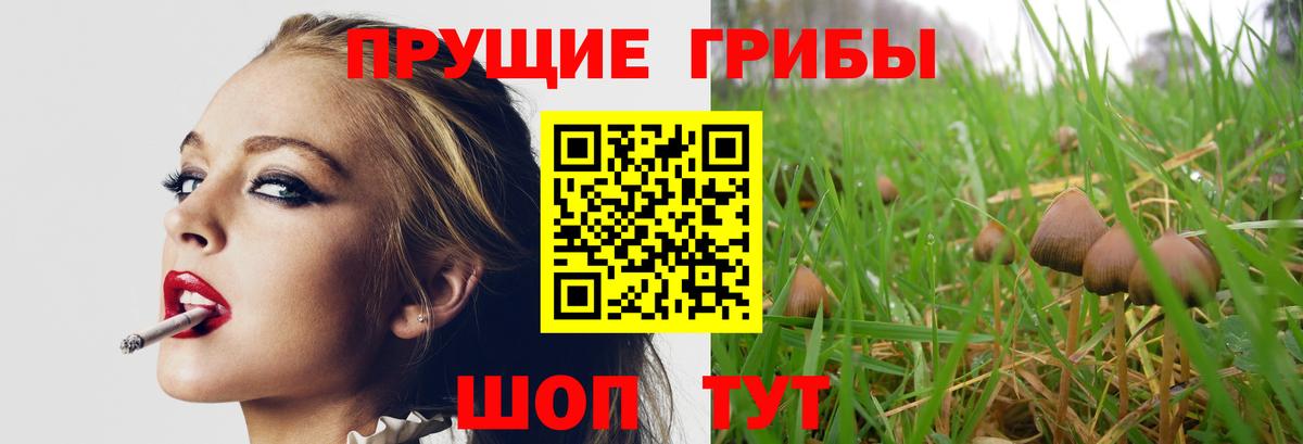 Галлюциногенные грибы Psilocybine cubensis  Псилоцибиновые грибы мицелий  Костомукша  Вход с VPN 