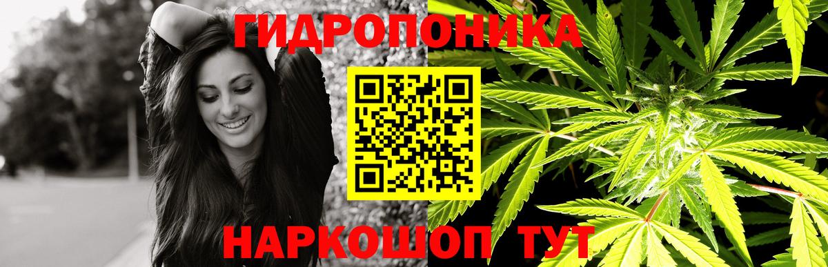 Бошки марихуана план  МАРИХУАНА марихуана  Вход с VPN  Костомукша 